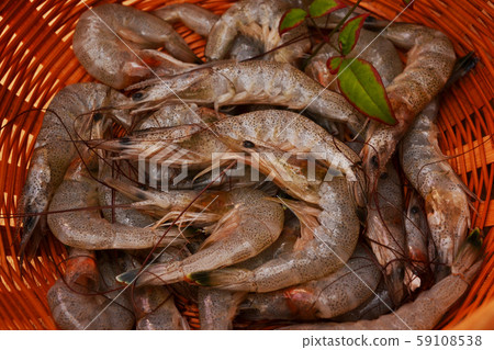 新鮮,蝦有現貨 新鮮,蝦有現貨 59108538