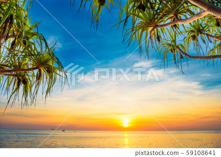 Sunset at tropical beach with palms 59108641