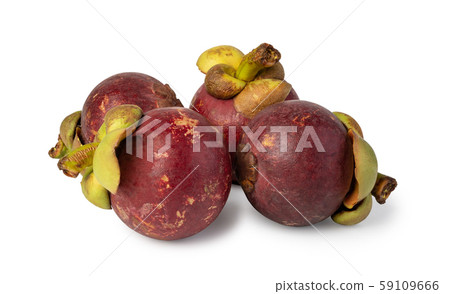 mangosteen on white background mangosteen on white background 59109666