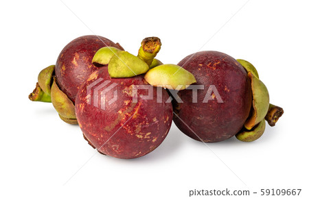 mangosteen on white background mangosteen on white background 59109667