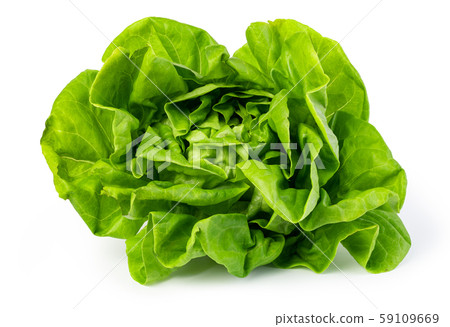 green butter lettuce green butter lettuce 59109669