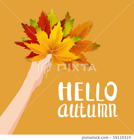 Hand hold autumn colorful leaves bright bouquet fall, floral. Hello Autumn lettering. Vector Hand hold autumn colorful leaves bright bouquet fall, floral. Hello Autumn lettering. Vector 59110324