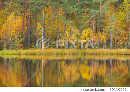 Serene autumn landscape at forest lake Serene autumn landscape at forest lake 59110652
