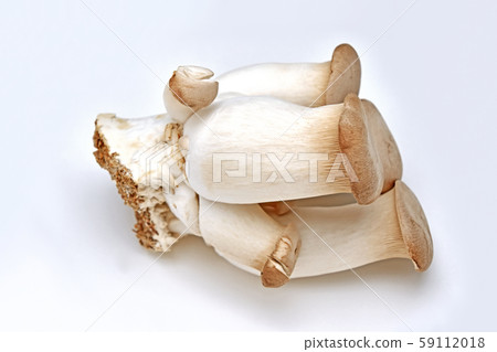 Mushroom (eryngii) 59112018