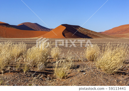 Namib Desert - Namibia - Africa Namib Desert - Namibia - Africa 59113441