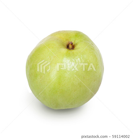 green guava isolated on white background green guava isolated on white background 59114002