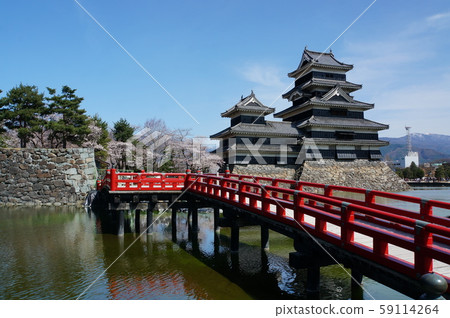 松本城堡和櫻花 松本城堡和櫻花 59114264