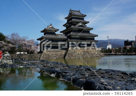 松本城堡和櫻花 59114265