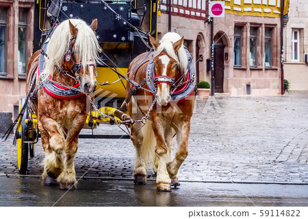 Pair of horses in center of Nuremberg, Germany 59114822