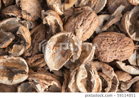Broken walnut shells. Pieces of nutshells. Nutshell texture. 59114851
