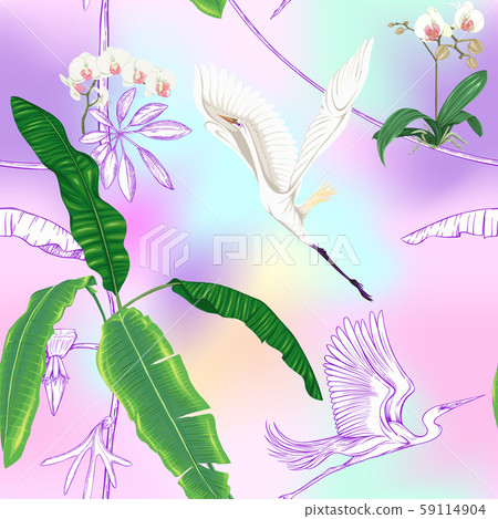 Seamless pattern, background. with tropical plants 59114904