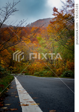 Autumn leaves 3 (Aomori Hakkoda) 59115103