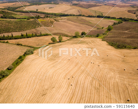 Aerial summer rural landscape of Tuscany 59115640