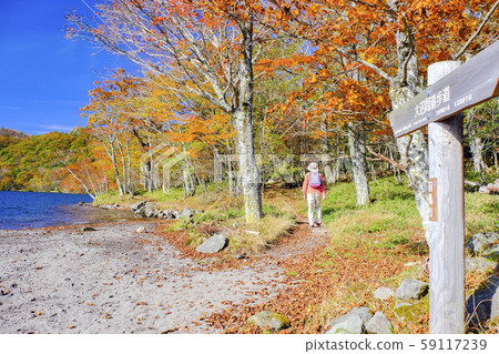Onuma promenade with colored leaves 59117239