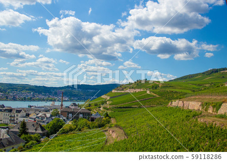 A view on the way from Ruedesheim, Germany, to the Niederwald hill with a gondola (wine vineyards and la A view on the way from Ruedesheim, Germany, to the Niederwald hill with a gondola (wine vineyards and la 59118286