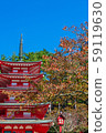Yamanashi Prefecture Arakura Fuji Asama Shrine Autumn Autumn 59119630
