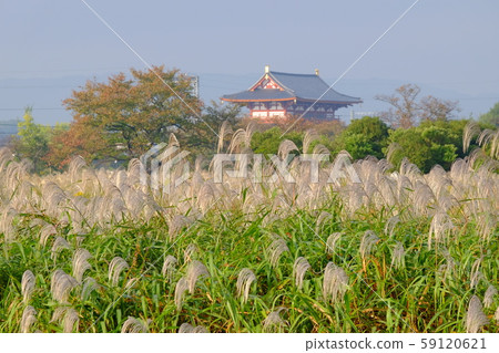 朱雀門和薄野(奈良市北角町) 朱雀門和薄野(奈良市北角町) 59120621