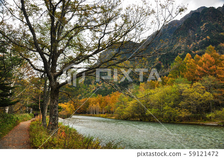 日本中部山岳國立公園-上高地 #10 59121472