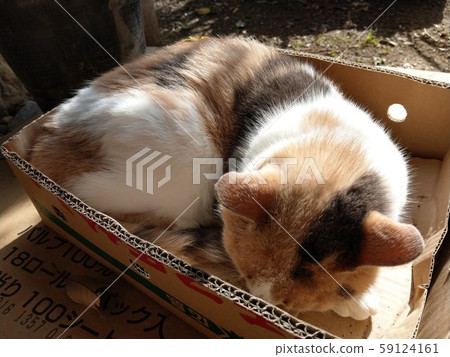 Hinata botko 59124161