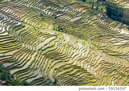 Yuanyang Rice Terraces - Yunnan, China Yuanyang Rice Terraces - Yunnan, China 59124297