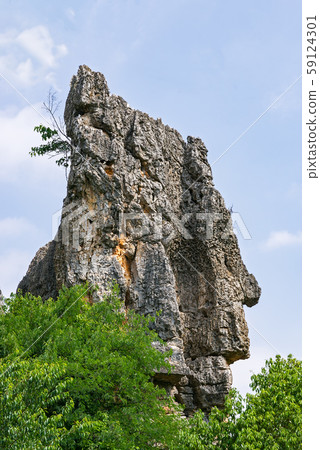 Naigu Shilin limestone pinnacles Stone Forest - 59124301