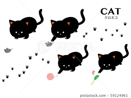 Black cat play set 59124961