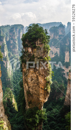 Zhangjiajie National Forest Park 59126276
