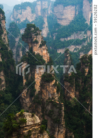 Zhangjiajie National Forest Park 59126282