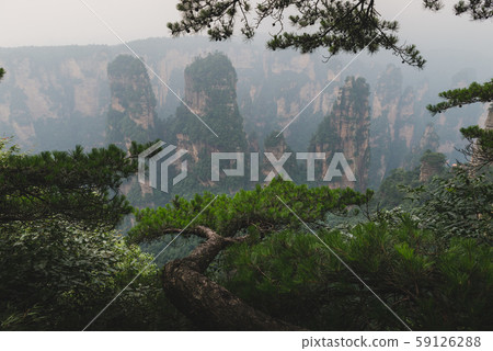 Zhangjiajie National Forest Park Zhangjiajie National Forest Park 59126288