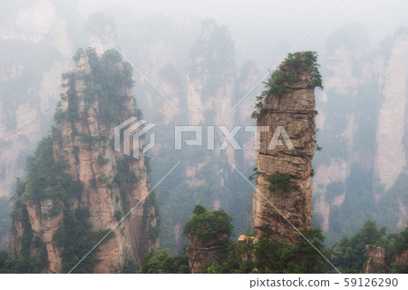 Zhangjiajie National Forest Park Zhangjiajie National Forest Park 59126290