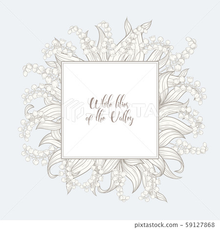 Lily of the valley, may-lily 59127868