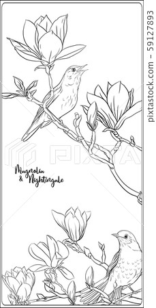 Magnolia tree branch 59127893