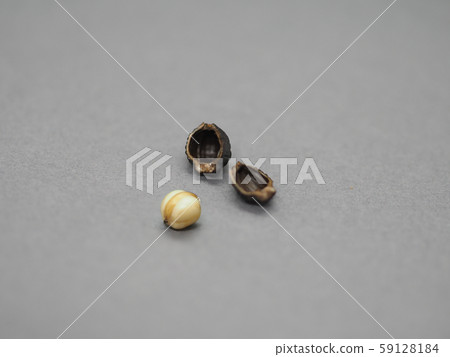 Osiroybana seeds and contents 59128184