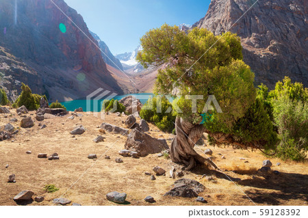 Mountain landscape with archa tree on shore of Mountain landscape with archa tree on shore of 59128392