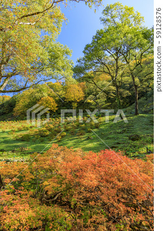 湯澤高原全景公園阿爾卑斯之裡 59128576