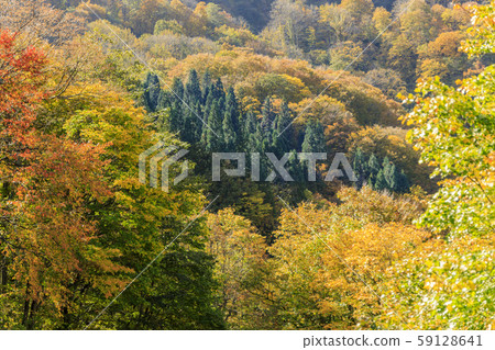 湯澤高原全景公園阿爾卑斯之裡 59128641