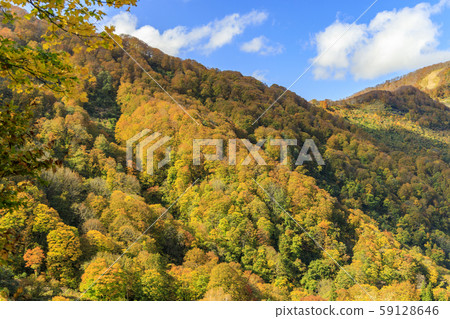 湯澤高原全景公園阿爾卑斯之裡 湯澤高原全景公園阿爾卑斯之裡 59128646