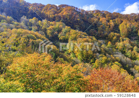 湯澤高原全景公園阿爾卑斯之裡 59128648