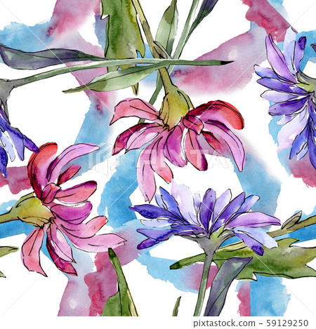 Aster floral botanical flowers. Watercolor background illustration set. Seamless background pattern. 59129250