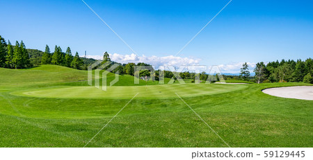 The greens and pins of the golf course surrounded by birch trees The greens and pins of the golf course surrounded by birch trees 59129445