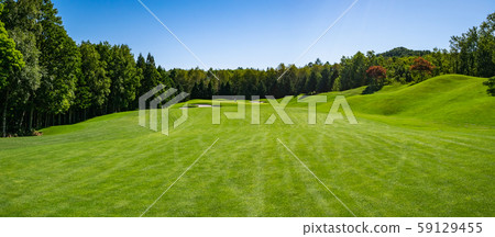 Green grass and birch trees spread across the fairways of the golf course. Green grass and birch trees spread across the fairways of the golf course. 59129455