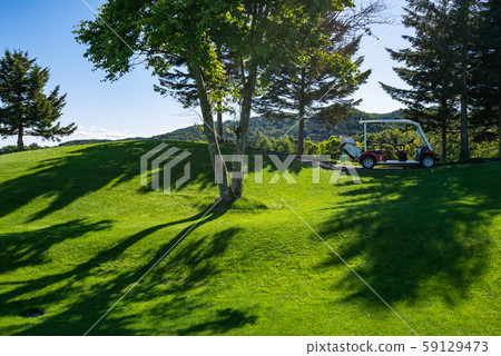 高爾夫球場高爾夫球車 59129473