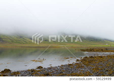 Mjoifjordur rural landscape, east Iceland. 59129499