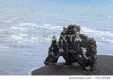 Hvitserkur sea stack, Iceland. Black sand beach Hvitserkur sea stack, Iceland. Black sand beach 59129588