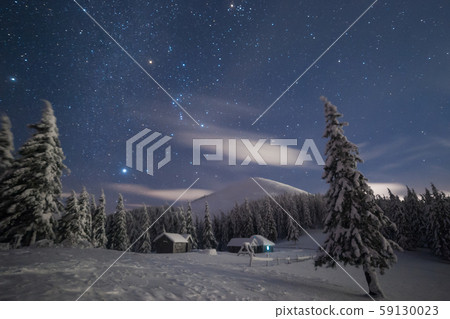 Night snowy forest and bright stars Night snowy forest and bright stars 59130023