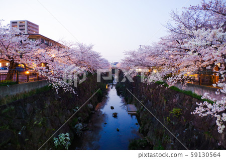 Yamazaki River 59130564
