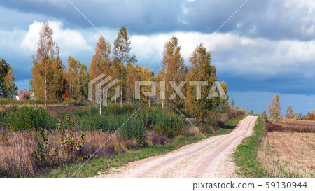 Wooden path among the reeds on the lake Wooden path among the reeds on the lake 59130944