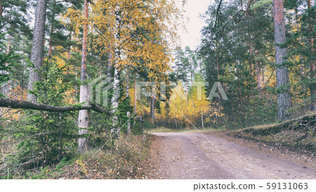 Fork in a woodland path 59131063