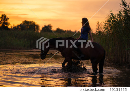 A slender girl on a horse is at sunset. A horse is A slender girl on a horse is at sunset. A horse is 59131555