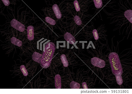 Illustration of E. coli (computer graphic) Illustration of E. coli (computer graphic) 59131801